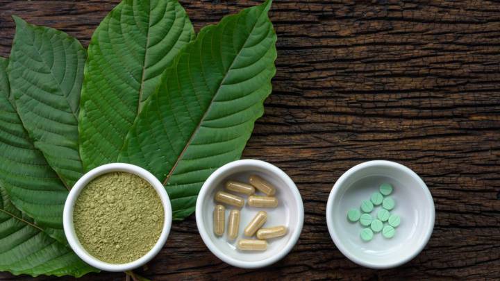 Qué es y qué efectos tiene el kratom, la planta de la familia del café que la DEA quiere prohibir en Estados Unidos