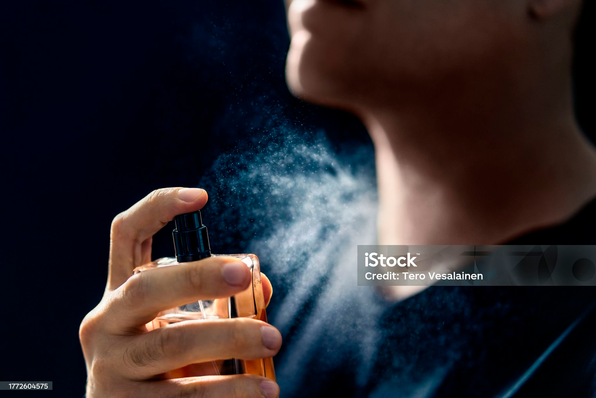 Feromonas: ¿Qué son?, ¿Cuándo se producen? y ¿Cómo funcionan?