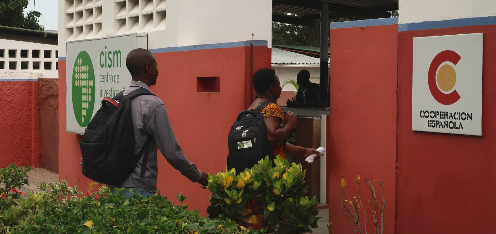 Neumonía: Relato de una lucha a muerte