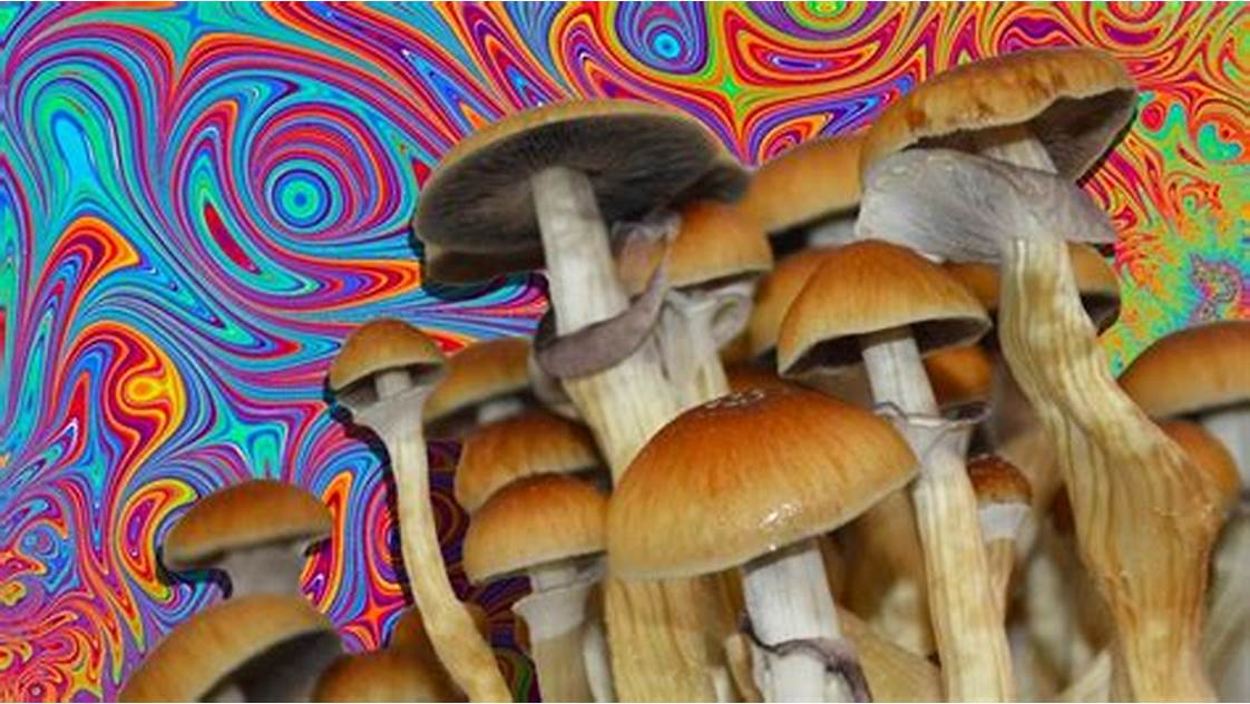 Tengo 42 años, un trastorno de alimentación, estoy enfermo, a punto del colapso físico y mental.