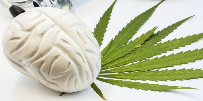 Confesiones de un Fumador de Marihuana