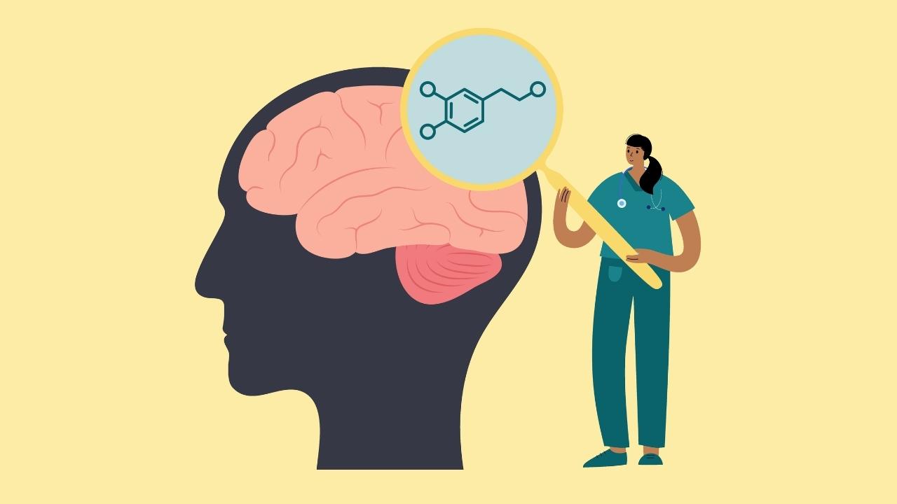 La hormona de la felicidad: breve historia