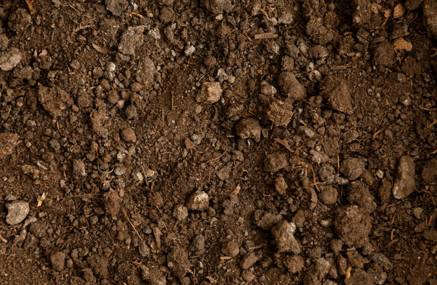 "Pica": el trastorno que hace que algunas personas tengan un antojo irresistible por comer tierra, tiza o hielo