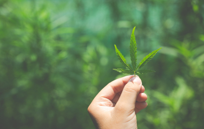 Detienen a adolescente de 13 años con cigarro de marihuana