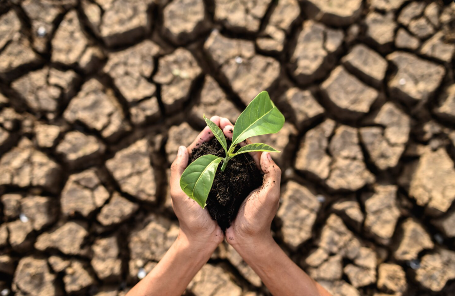 Escasez de agua y sequía en México: Crisis 