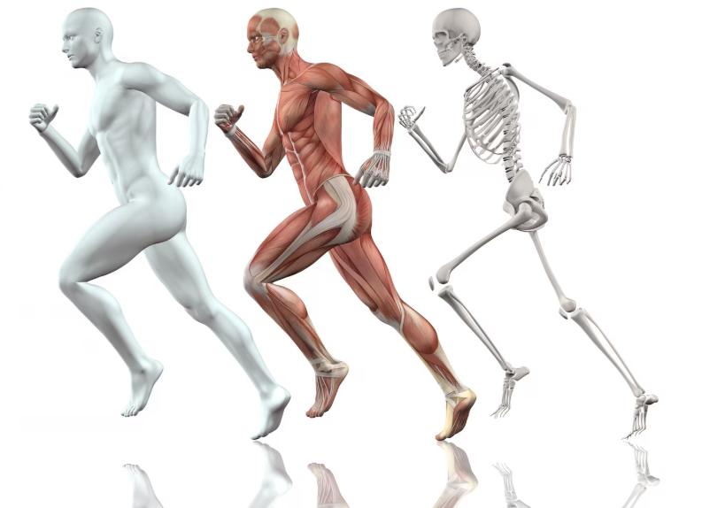 Por qué no debes tomar relajantes musculares a la ligera