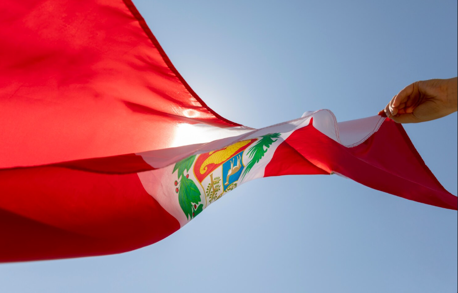 Hojas de hace 2,5 millones de años en Perú.