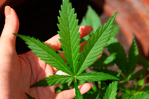 Piden a México y EU centrar pláticas en prevención de consumo de drogas